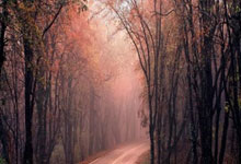 揭秘'彩票是假的'——天涯杂谈论坛的真实经历