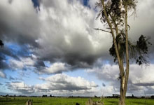 揭秘'彩票是假的'——天涯杂谈论坛的真实经历